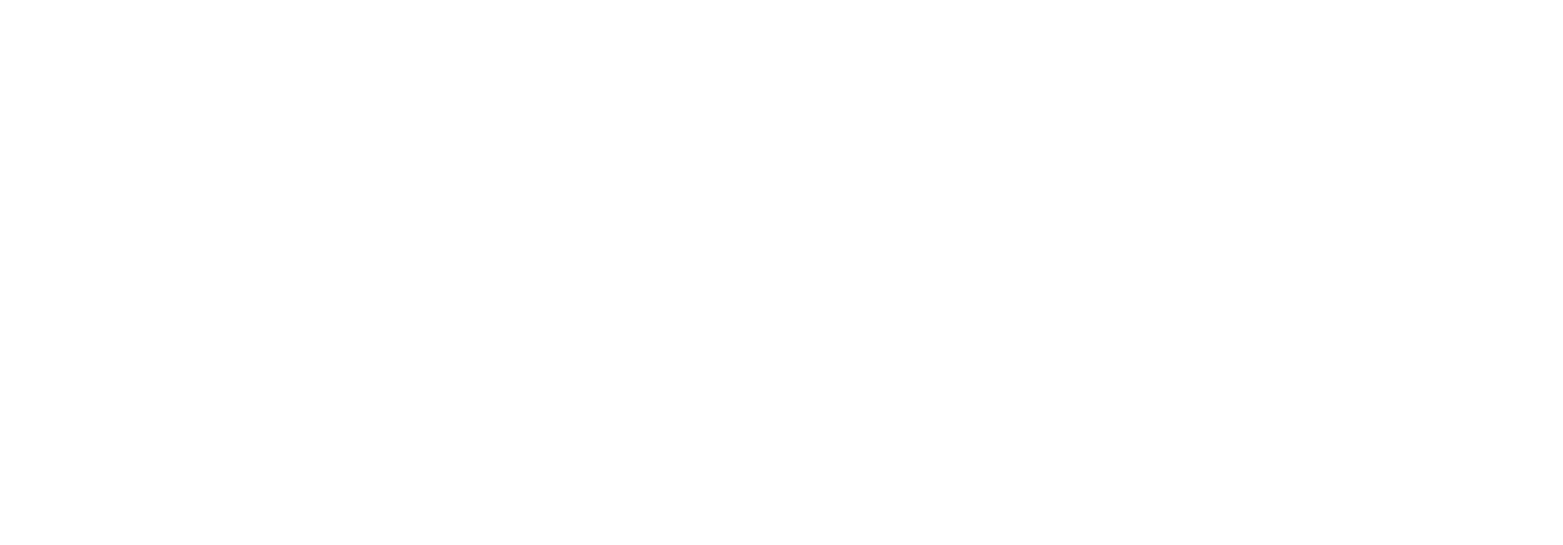 ElectraVire